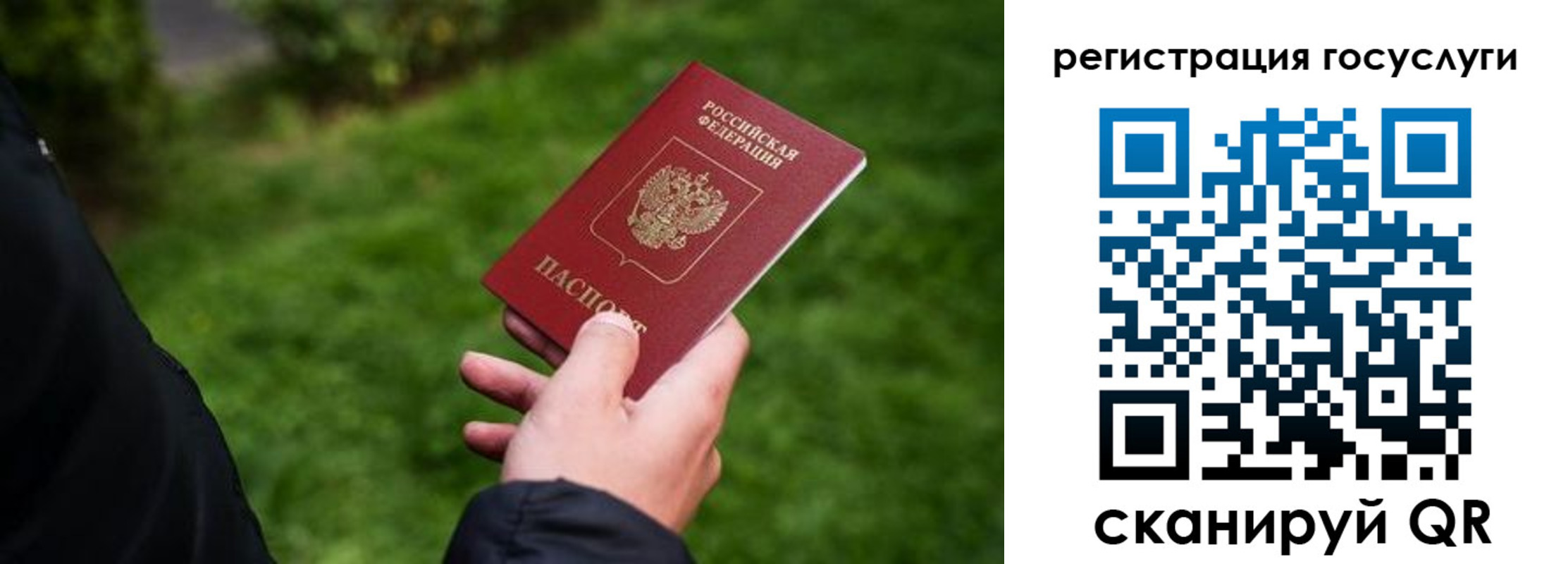 прописка в Родниках